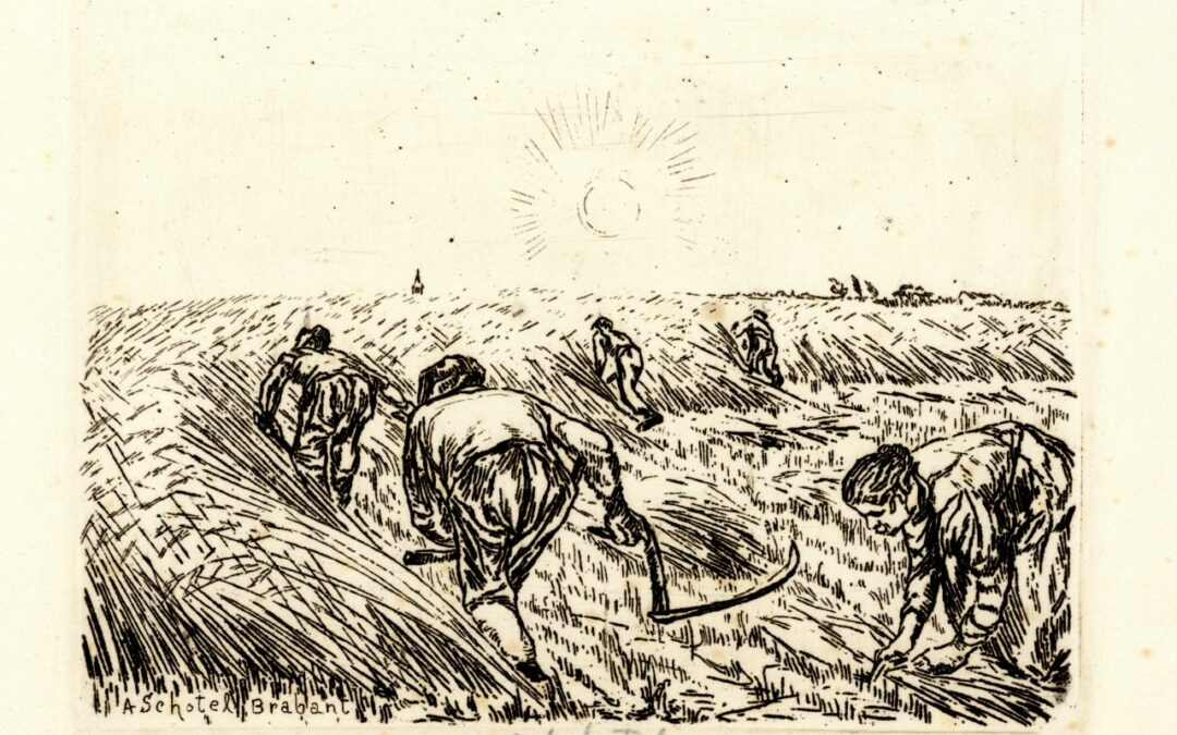 Nieuwe tentoonstelling: Boerenwerk Spitten, wieden, ploegen, eggen, maaien en dorsen