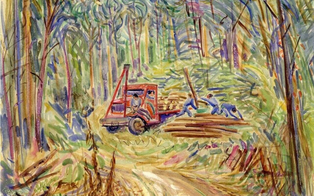 Schotel en het bos